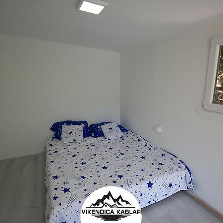 Vila Ovcarkablar Vikendice Meduvrsje Exteriér fotografie